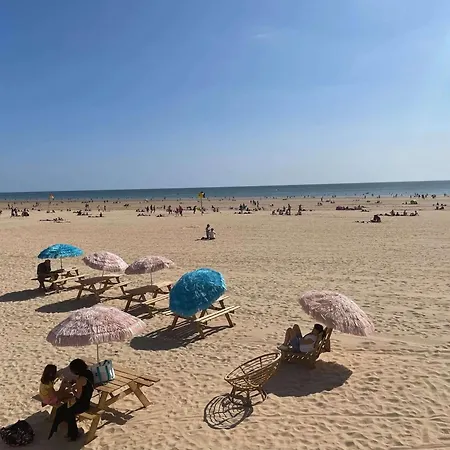 Casa de Férias Maison Spacieuse 800m Plage, Animaux Admis - Fr-1-224c-335 Saint-Jean-de-Monts